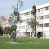 Universitat Politcnica de Valncia